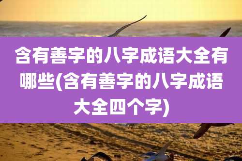 含有善字的八字成语大全有哪些(含有善字的八字成语大全四个字)