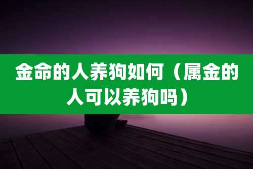 金命的人养狗如何(属金的人可以养狗吗)