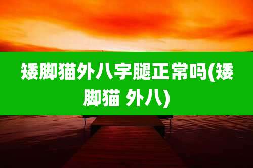 矮脚猫外八字腿正常吗(矮脚猫 外八)