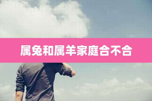 属兔和属羊家庭合不合