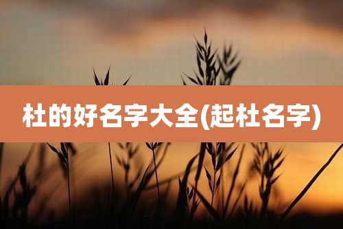 杜的好名字大全(起杜名字)