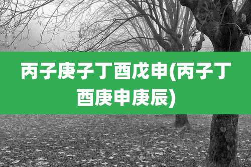 丙子庚子丁酉戊申(丙子丁酉庚申庚辰)