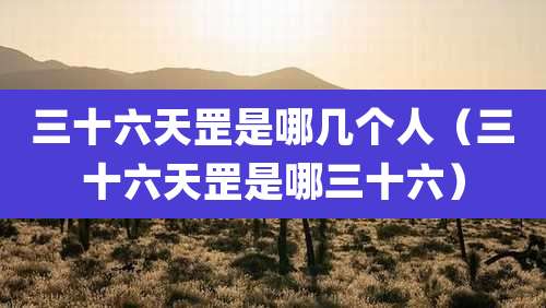 三十六天罡是哪几个人（三十六天罡是哪三十六）