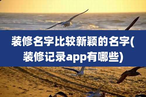 装修名字比较新颖的名字(装修记录app有哪些)