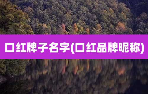 口红牌子名字(口红品牌昵称)