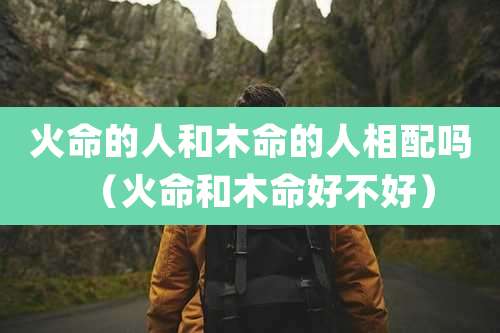 火命的人和木命的人相配吗(火命和木命好不好)