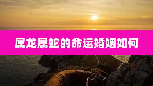 属龙属蛇的命运婚姻如何