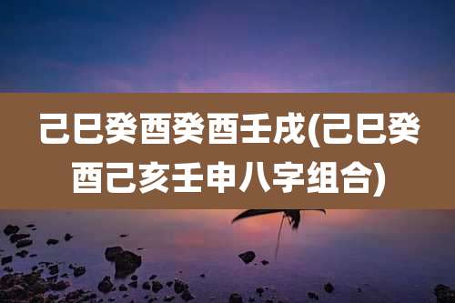 己巳癸酉癸酉壬戌(己巳癸酉己亥壬申八字组合)