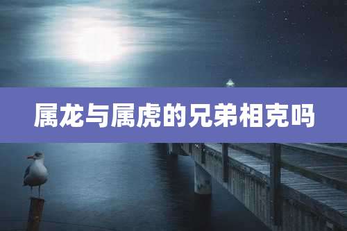 属龙与属虎的兄弟相克吗
