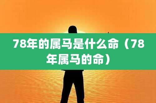 78年的属马是什么命（78年属马的命）