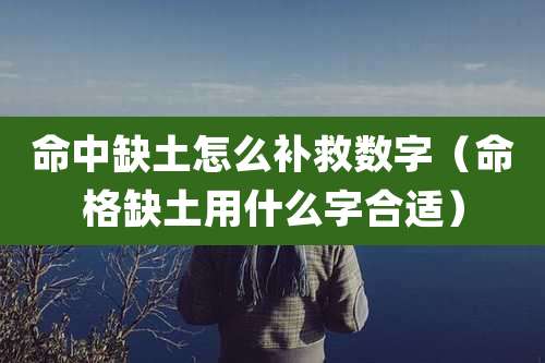 命中缺土怎么补救数字(命格缺土用什么字合适)