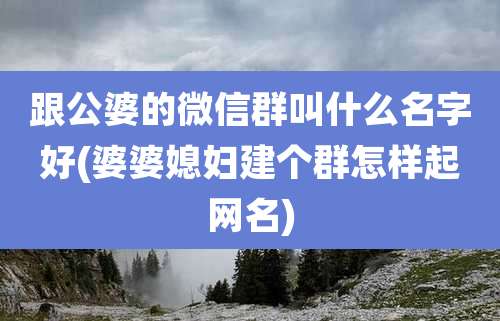 跟公婆的微信群叫什么名字好(婆婆媳妇建个群怎样起网名)