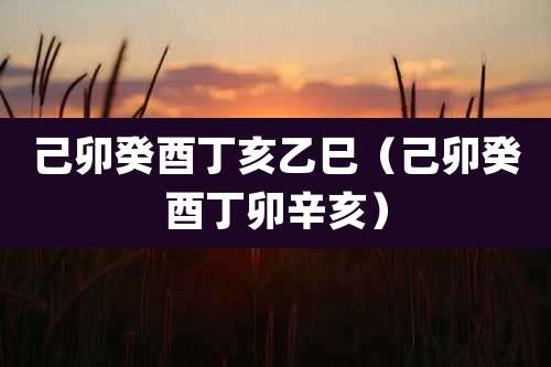 己卯癸酉丁亥乙巳（己卯癸酉丁卯辛亥）