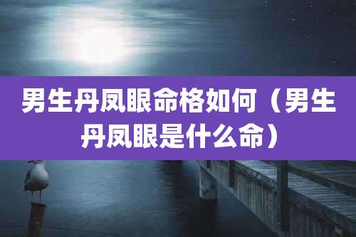 男生丹凤眼命格如何(男生丹凤眼是什么命)