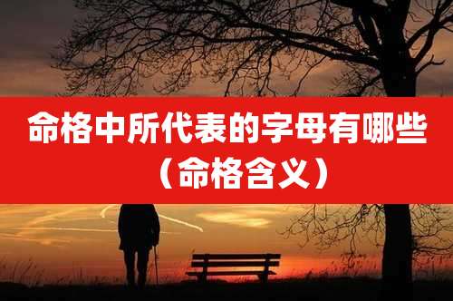 命格中所代表的字母有哪些（命格含义）