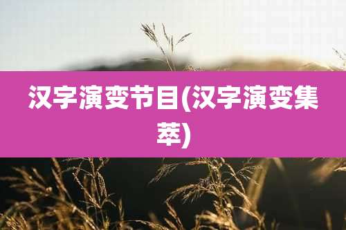 汉字演变节目(汉字演变集萃)