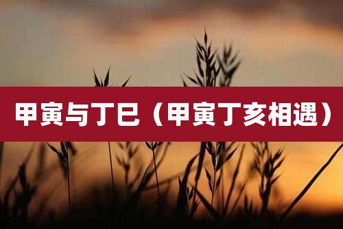 甲寅与丁巳(甲寅丁亥相遇)