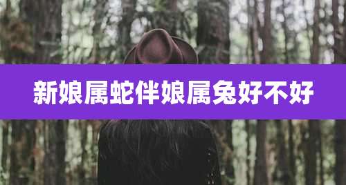 新娘属蛇伴娘属兔好不好