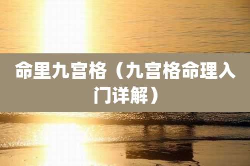 命里九宫格（九宫格命理入门详解）