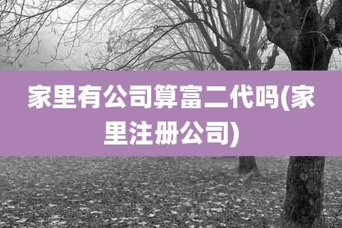 家里有公司算富二代吗(家里注册公司)