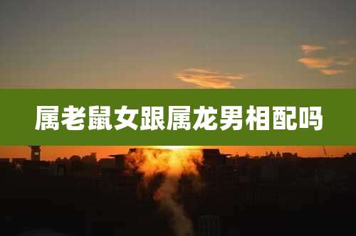 属老鼠女跟属龙男相配吗