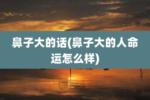 鼻子大的话(鼻子大的人命运怎么样)