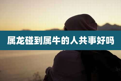 属龙碰到属牛的人共事好吗