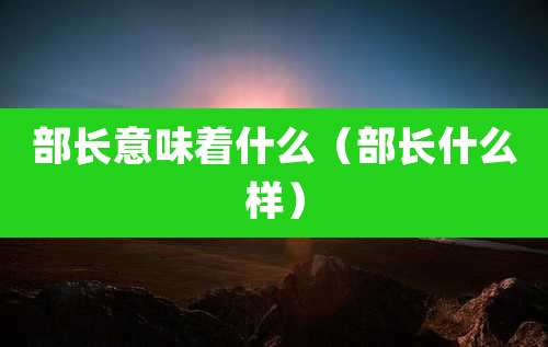 部长意味着什么(部长什么样)