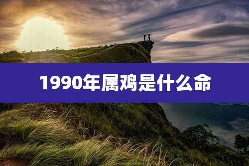 1990年属鸡是什么命