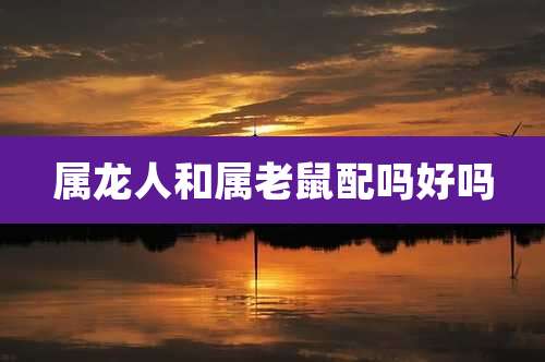 属龙人和属老鼠配吗好吗
