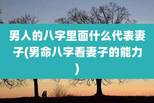 男人的八字里面什么代表妻子(男命八字看妻子的能力)