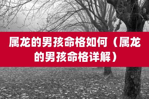 属龙的男孩命格如何(属龙的男孩命格详解)