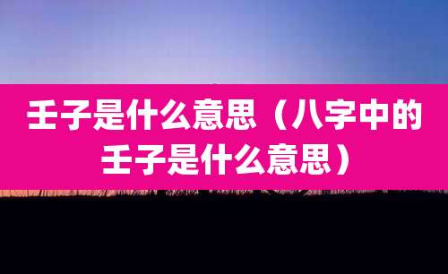 壬子是什么意思（八字中的壬子是什么意思）