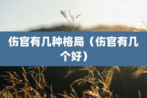 伤官有几种格局（伤官有几个好）