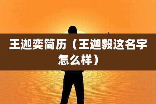 王迦奕简历(王迦毅这名字怎么样)