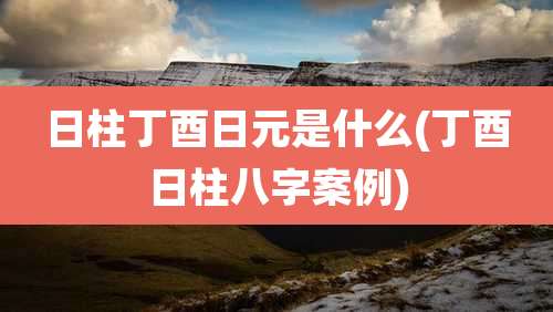 日柱丁酉日元是什么(丁酉日柱八字案例)