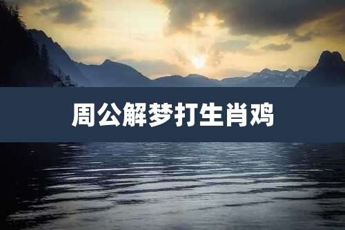 周公解梦打生肖鸡