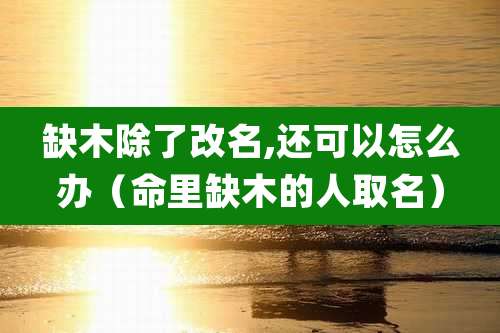 缺木除了改名,还可以怎么办(命里缺木的人取名)