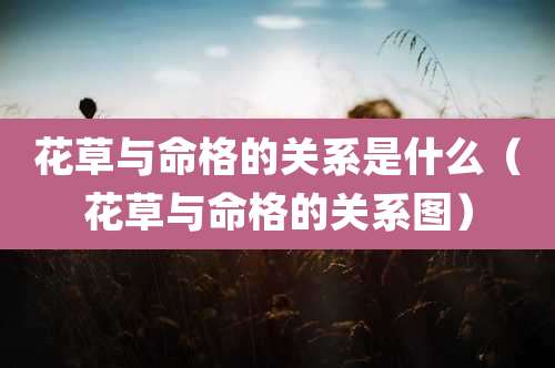 花草与命格的关系是什么（花草与命格的关系图）