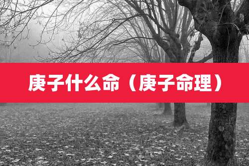 庚子什么命(庚子命理)