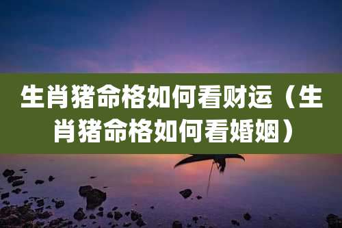 生肖猪命格如何看财运(生肖猪命格如何看婚姻)
