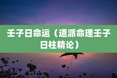 壬子日命运(道派命理壬子日柱精论)