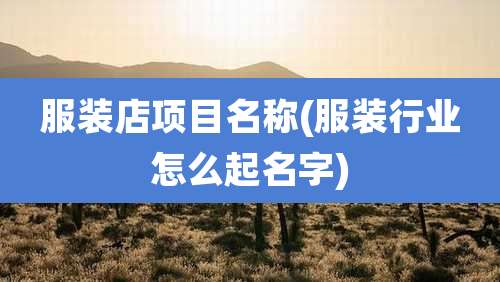 服装店项目名称(服装行业怎么起名字)