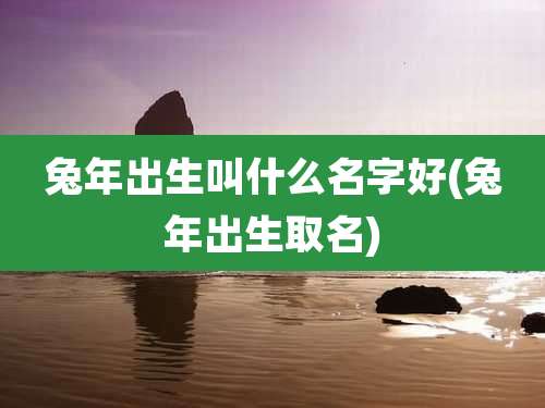 兔年出生叫什么名字好(兔年出生取名)