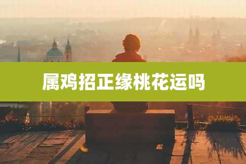 属鸡招正缘桃花运吗