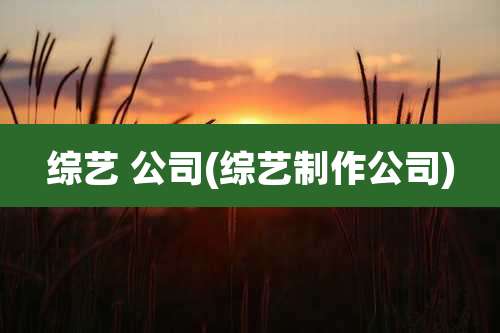 综艺 公司(综艺制作公司)