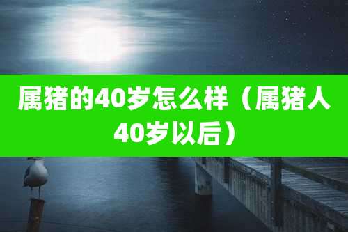 属猪的40岁怎么样(属猪人40岁以后)