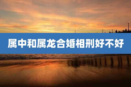 属中和属龙合婚相刑好不好