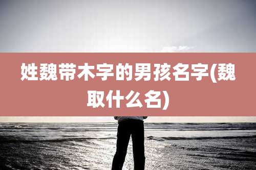 姓魏带木字的男孩名字(魏取什么名)