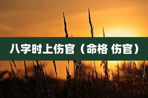 八字时上伤官(命格 伤官)